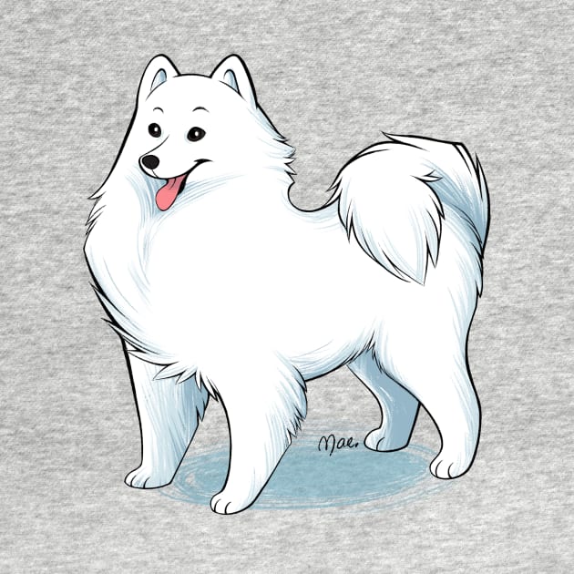 Samoyed by mariamar